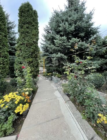 Продажа домов: Дом, 85 м², 3 комнаты, Собственник, Старый ремонт — 9