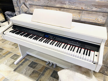 korg 600: Piano, Yeni, Pulsuz çatdırılma
