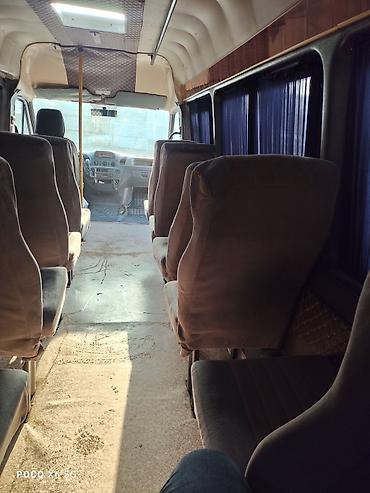 Mercedes-Benz: Mercedes-Benz Спринтер: 2004 г., Бус — 10