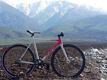 veloline: Plusque Veloline Sturm С саморучной раскраской Вилсеты - задний вилсет — 1