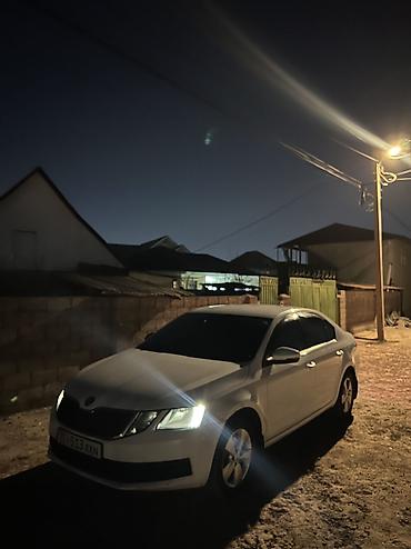 Skoda: Skoda Octavia: 2018 г., 1.6 л, Автомат, Бензин, Седан — 10