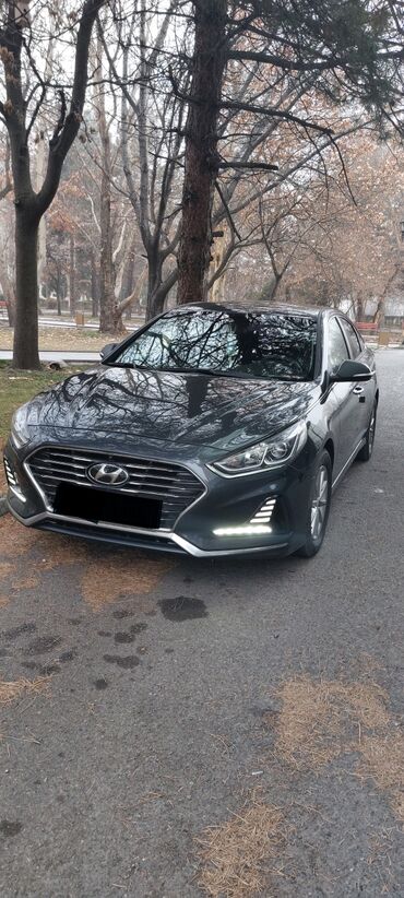 ауди 100 2 0: Hyundai Sonata: 2017 г., 2 л, Автомат, Газ, Седан