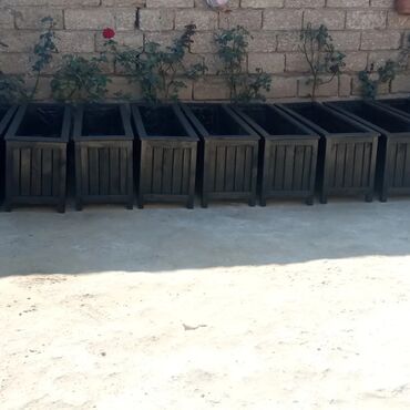 Bitkilər üçün dibçəklər: ###Taxta dibcəklər dekorativ ağaclar və güllər üçün istənilən ölçüdə — 5