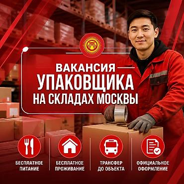 упоковщик: Требуется Упаковщик, Без опыта — 1