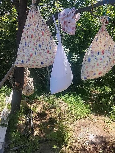 Масло, консервы: Домашнее топлёное масло (ги) из коровьего молока - Натуральное масло — 6