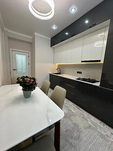 46: 1 комната, 46 м², ул. Горького / Алматинка Элитка, 5 этаж, Дизайнерский ремонт — 5