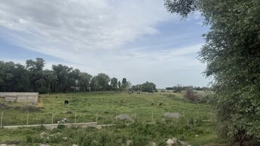 Сельхоз предприятия: Продаю Кошара, 100 соток, Действующий, Скважина, Холодная вода, Электричество — 5