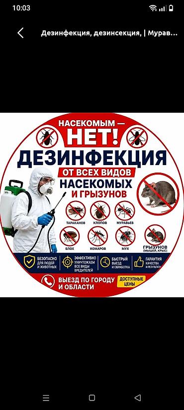 Дезинфекциялоо, дезинсекциялоо: Дезинфекциялоо, дезинсекциялоо, | Кумурскалар, | Батирлер — 2