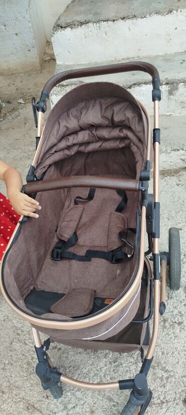 Коляски: Коляска, цвет - Коричневый — 7