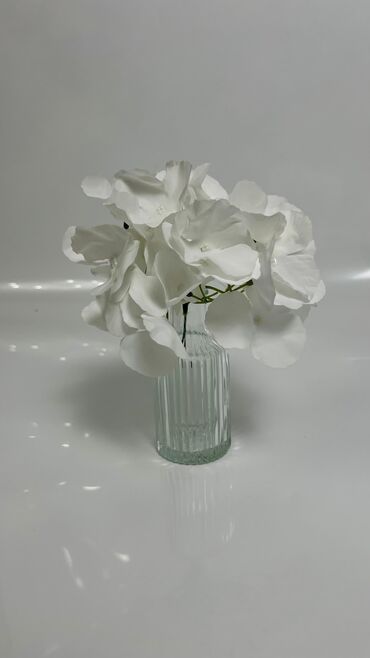 Выездные банкеты: Выездные банкеты | Оформители | Аренда столов, Аренда стульев, Аренда посуды at lalafo.kg — 19 Выездные банкеты: Выездные банкеты | Оформители | Аренда столов, Аренда стульев, Аренда посуды — 19