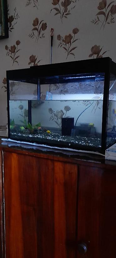 akvarium filterleri: Akvaryum dəsti – tam işlək komplekt Xüsusiyyətlər və tərkib: - Şüşə — 4
