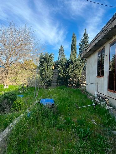 Torpaq sahələrinin satışı: 25 sot — 16