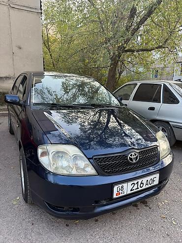Toyota Corolla: 2003 г., 1.6 л, Механика, Бензин, Седан