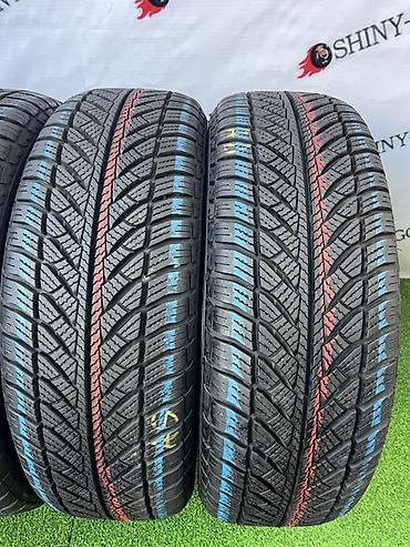 60: Шины 205 / 60 / R 16, Зима, Б/у, Комплект, Легковые, Германия, GoodYear — 2