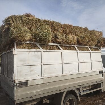 Уйлар, букалар: 200сом 99 тюков