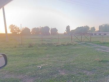 Продажа другой коммерческой недвижимости: Срочно продается кошара.( в 7 км от трасы Бишкек Кара- Балта ) 40 — 13