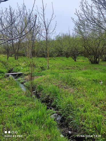 Torpaq sahələrinin satışı: 18 sot, Tikinti, Mülkiyyətçi, Kupça (Çıxarış) — 8