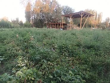 Продажа коттеджей и домов: Продаётся дом село Полтавке в одном участке два дома 1ый дом полтора — 19