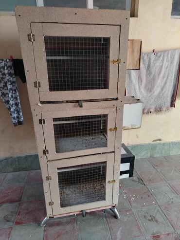животные в добрые руки баку: 1metr 80sant uzunluqu 55sant eni yaxşı vezyetdedi qusdari legveledim
