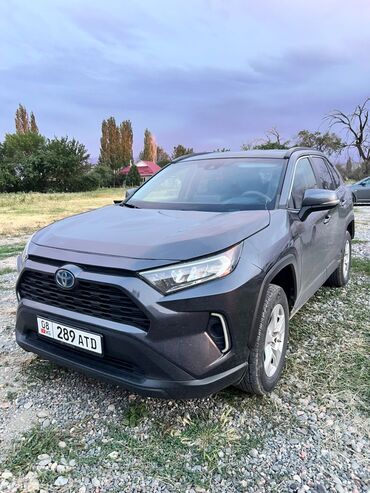 Toyota: Звоните на этот номер