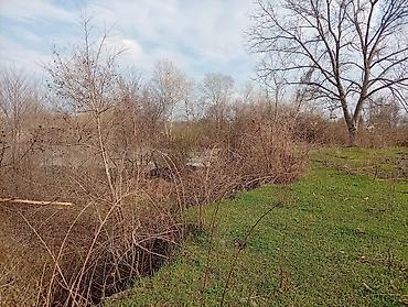 Torpaq sahələrinin satışı: 38 sot, Kənd təsərrüfatı, Mülkiyyətçi, Kupça (Çıxarış) — 12