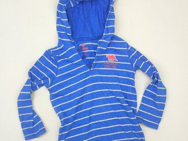 bluzka z motylkiem: Sweater, Lupilu, 3-4 years, 98-104 cm, condition - Very good