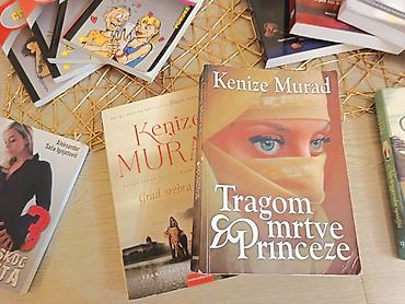 antiques: Sve knjige sa fotografije zajedno za iznos 6000rsd Može i lično — 2