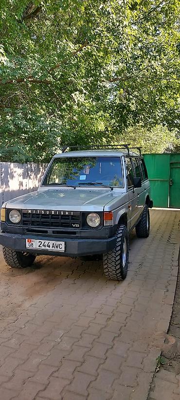 Mitsubishi Pajero: 1989 г., 3 л, Механика, Бензин, Внедорожник
