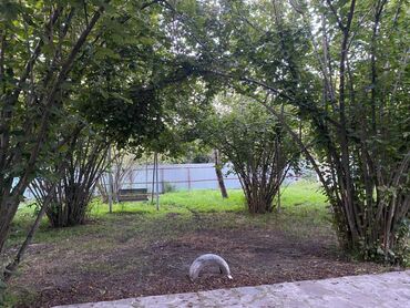 Bağ evlərinin satışı: Bakı, 1200 kv. m, 5 otaqlı, Hovuzsuz, İnternet, Artezian quyusu, Su -da lalafo.az — 14 Bağ evlərinin satışı: Bakı, 1200 kv. m, 5 otaqlı, Hovuzsuz, İnternet, Artezian quyusu, Su — 14