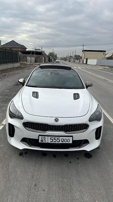 Kia: Kia Stinger: 2018 г., Бензин at lalafo.kg — 11 Kia: Kia Stinger: 2018 г., Бензин — 11