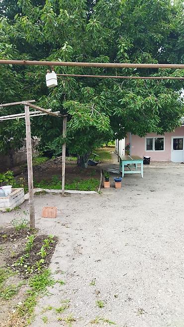 Həyət evləri və villaların satışı: Təcili satılır — 5