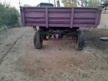 Traktorlar: Traktor Belarus (MTZ) 80,1, 1982 il, 58 at gücü, motor 4.7 l, İşlənmiş — 11