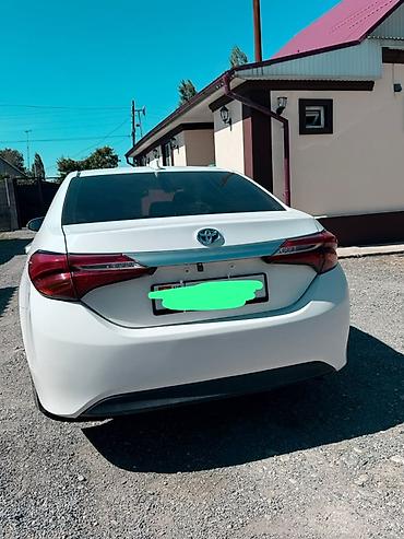 оборотный соко: Toyota Corolla: 2017 г., 1.8 л, Гибрид, Седан — 2
