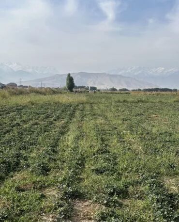 Продажа участков: 180 соток, Для бизнеса, Договор купли-продажи