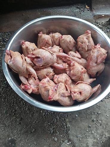для мяса: Домашняя птица, режим на заказ, по предварительному заказу, халал — 4