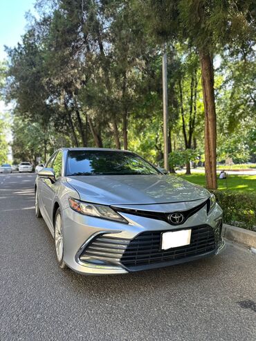 camry xle: Toyota 