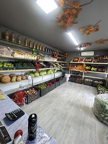 Помидоры: Овощной бизнес сатылат — 1