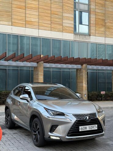 замена пневмоподвески на пружинную lexus rx: Lexus NX: 2018 г., 2.5 л, Автомат, Гибрид, Внедорожник