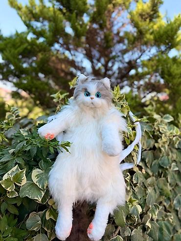scotish fold: Məhsul: Realistik pişik peluş oyuncaqları - Növlər: 3 fərqli rəng — 4