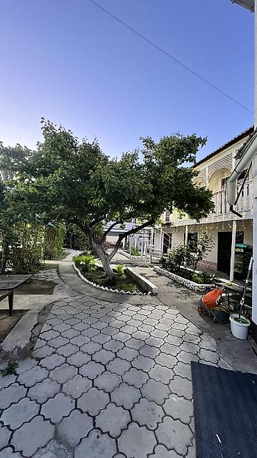 nomad hostel: Сдаю Teahouse, 100 м², Действующий — 3