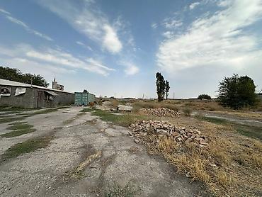 amir city: 115 соток, Для сельского хозяйства, Тех паспорт, Красная книга — 7