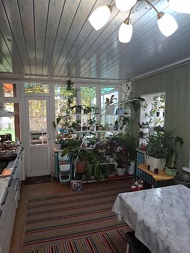 Продажа коттеджей и домов: Продаем дом. участок 5,5. красная книга. Угол Буденного и Фрунзе. 3 — 13