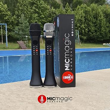 русская: Оригинальный караоке микрофон Micmagic L700 * *Мощность 20w — 4