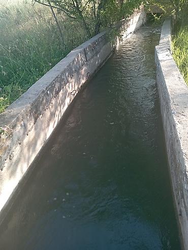 Другие товары для дома и сада: Продаю сад черешня 350шт. персик поздний 60 шт. территория 1,26га — 10