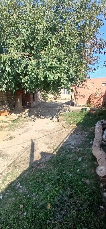 Torpaq sahələrinin satışı: 6 sot, Tikinti, Mülkiyyətçi, Kupça (Çıxarış) — 7