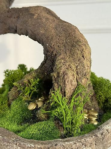 Декоративные цветы: Деревья-бонсай из натурального стабилизированного мха🌳 -это — 67