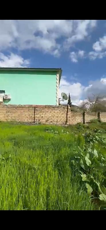 baksol yolu dernegul: 10 sot, Mülkiyyətçi, Kupça (Çıxarış) — 4
