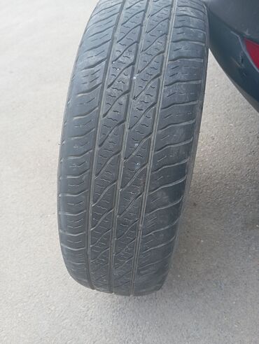 диски на лексус: Шина Accelera 135 / 25 / R 20