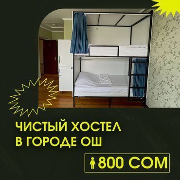 хостел политех: 222 м²