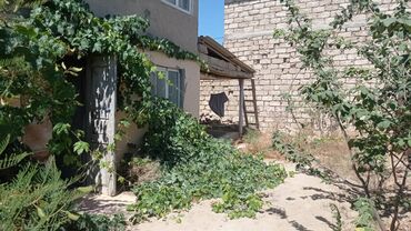 Bağ evlərinin satışı: Bakı, Zirə qəs., 100 kv. m, 7 otaqlı, Hovuzsuz, İnternet, Qaz, İşıq — 23